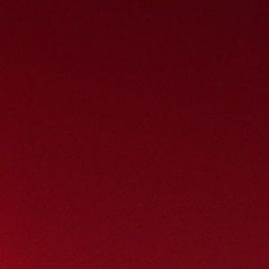 Meet your Posher, Damarys